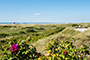 Frühlingsausblick St. Peter-Ording