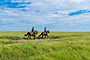 Reiten in den Dünen